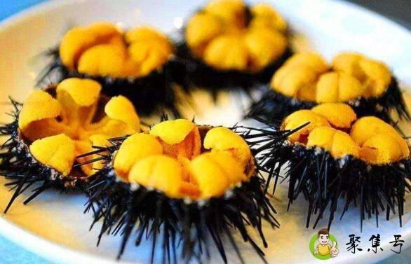 详细阅读:海胆吃的是哪个部位 海胆吃的是哪个部位