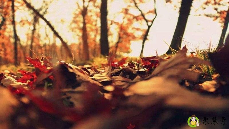 详细阅读:穷极所思不负千里什么意思 穷极所思不负千里什么意思