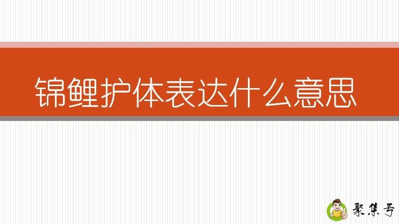详细阅读:锦鲤护体表达什么意思 锦鲤护体表达什么意思