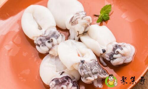 花枝片是什么食材