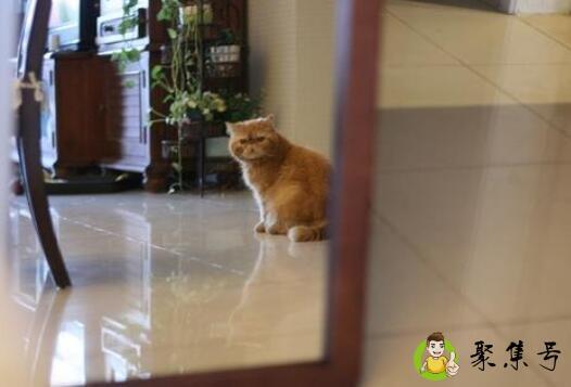 镜子里的腿比现实粗吗