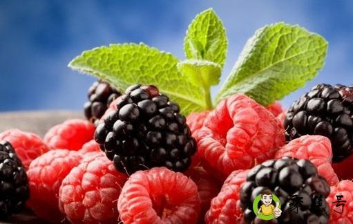 补气的水果有哪些