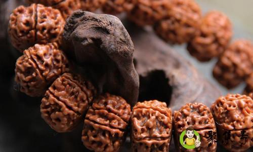 金刚菩提是什么