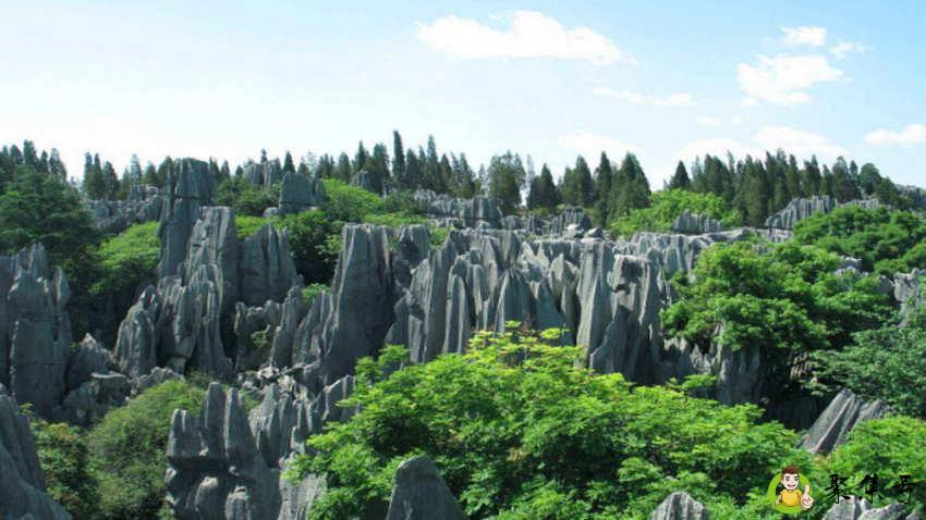 详细阅读:石林在哪里 石林在哪里
