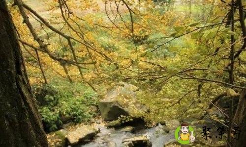 详细阅读:山卡卡是什么意思 山卡卡是什么意思