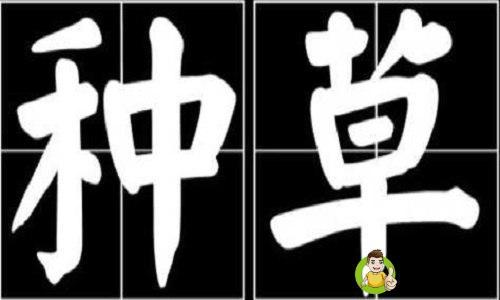 详细阅读:女生说种草是什么意思 女生说种草是什么意思