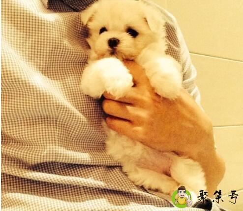 破防是什么意思饭圈