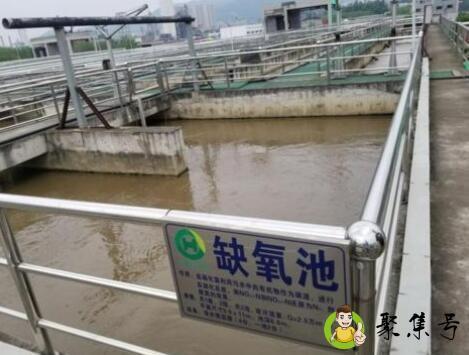 详细阅读:缺氧池的作用 缺氧池的作用
