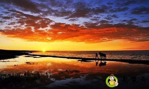 详细阅读:抵不过什么意思 抵不过什么意思