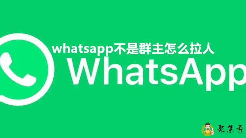 whatsapp不是群主怎么拉人