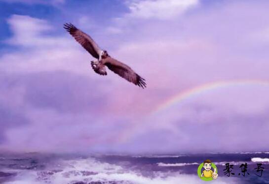 详细阅读:立志和敢愿的区别 立志和敢愿的区别