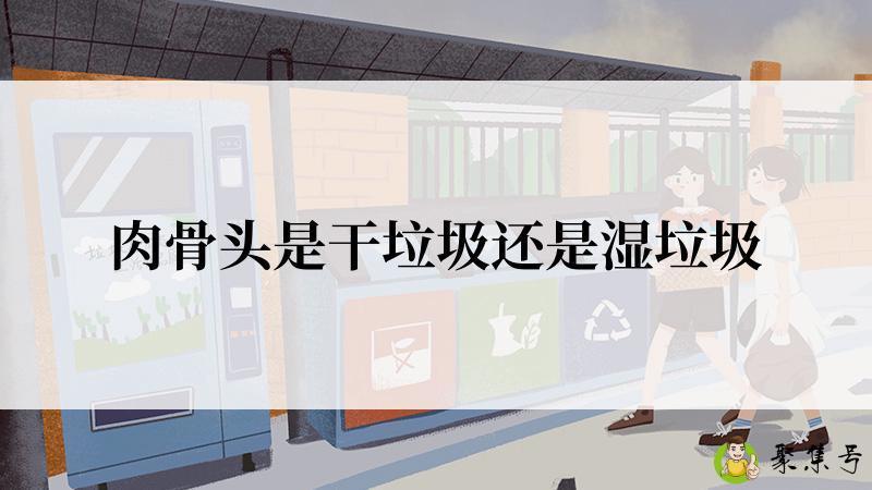 肉骨头是干垃圾还是湿垃圾