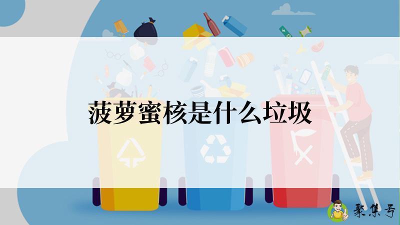 菠萝蜜核是什么垃圾