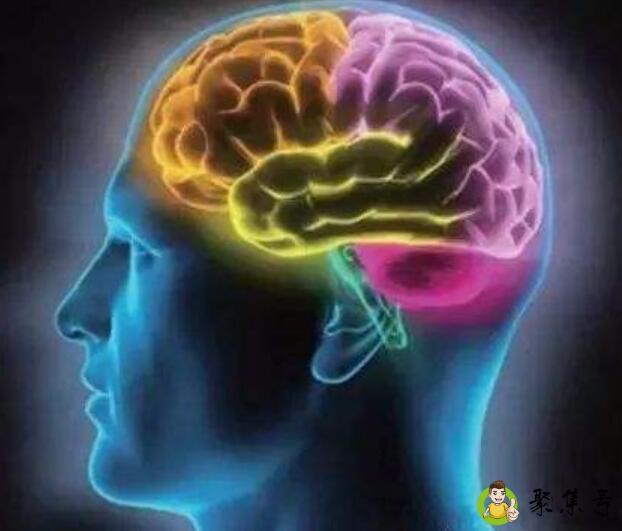 大脑消耗的能量百分比