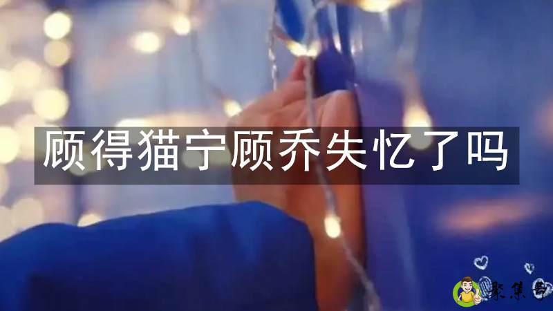 顾得猫宁顾乔失忆了吗