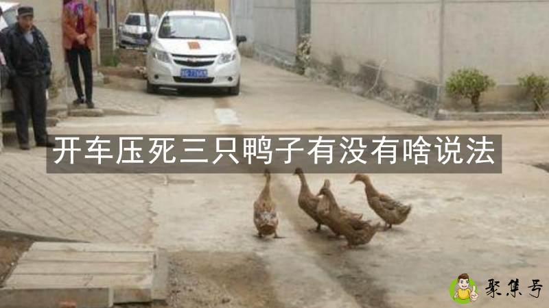 详细阅读:开车压死三只鸭子有没有啥说法 开车压死三只鸭子有没有啥说法