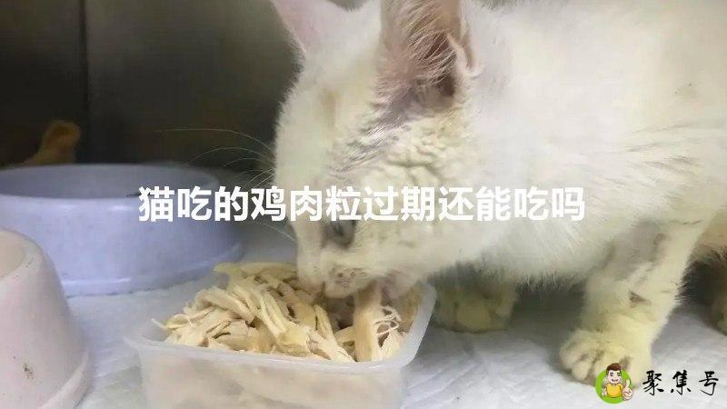 详细阅读:猫吃的鸡肉粒过期还能吃吗 猫吃的鸡肉粒过期还能吃吗