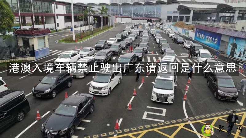 港澳入境车辆禁止驶出广东请返回是什么意思