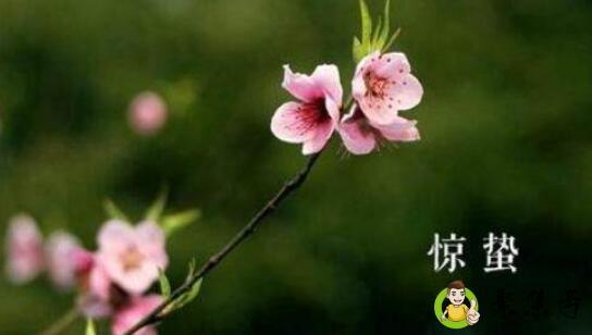 节气惊蛰是什么意思