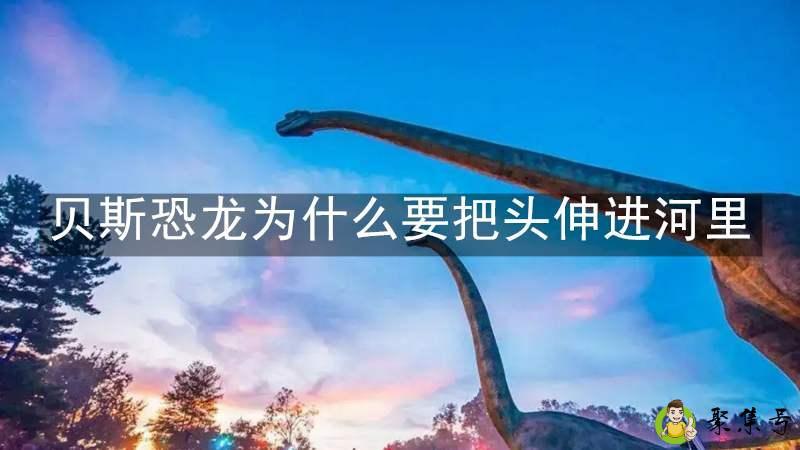 详细阅读:贝斯恐龙为什么要把头伸进河里 贝斯恐龙为什么要把头伸进河里