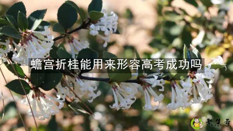 蟾宫折桂能用来形容高考成功吗