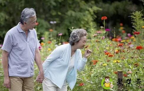 父母健康常在,下一句是什么-