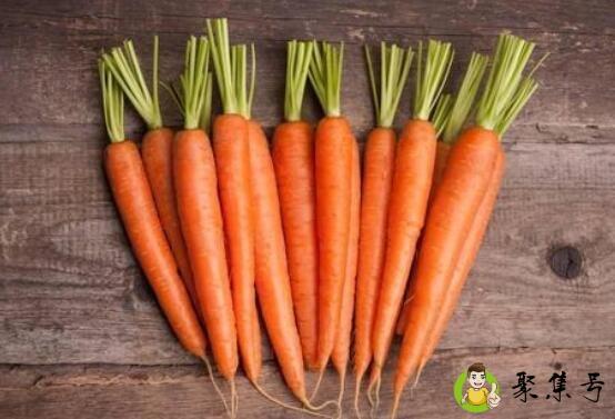 胡萝卜叶子能吃吗有什么功效