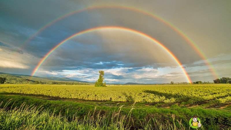 斯人如虹什么意思