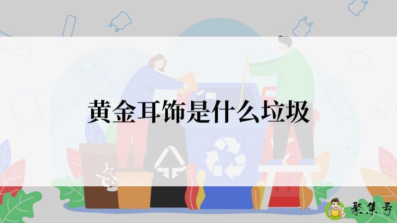 黄金耳饰是什么垃圾