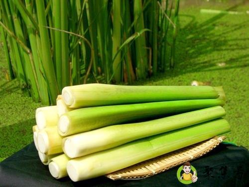 高巴是什么食物