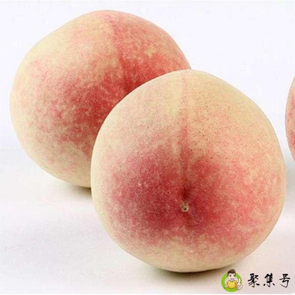 正宗水蜜桃是哪里的