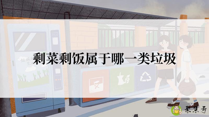 剩菜剩饭属于哪一类垃圾