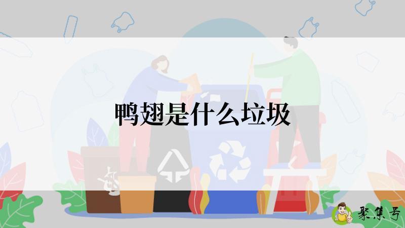 鸭翅是什么垃圾