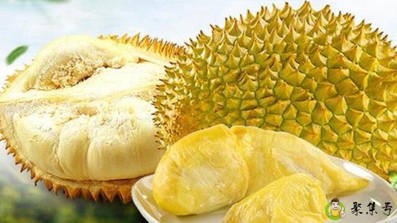 甲伦和金枕头的区别