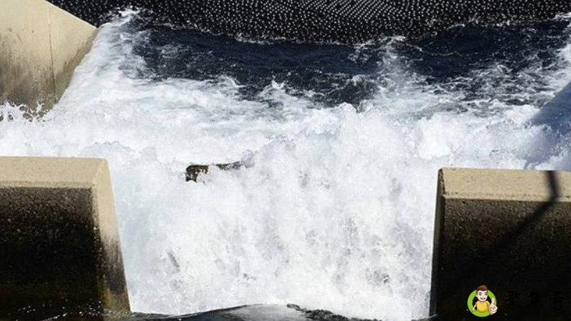 加快水蒸发的三种方法