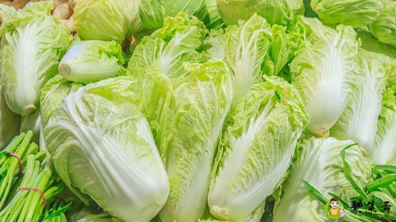 白菜价是什么意思