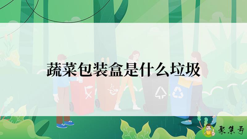 蔬菜包装盒是什么垃圾