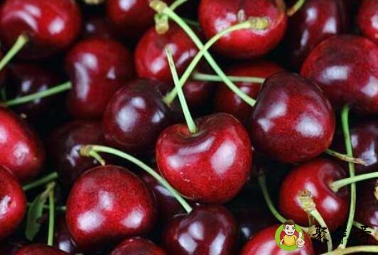 车厘子jr是什么级