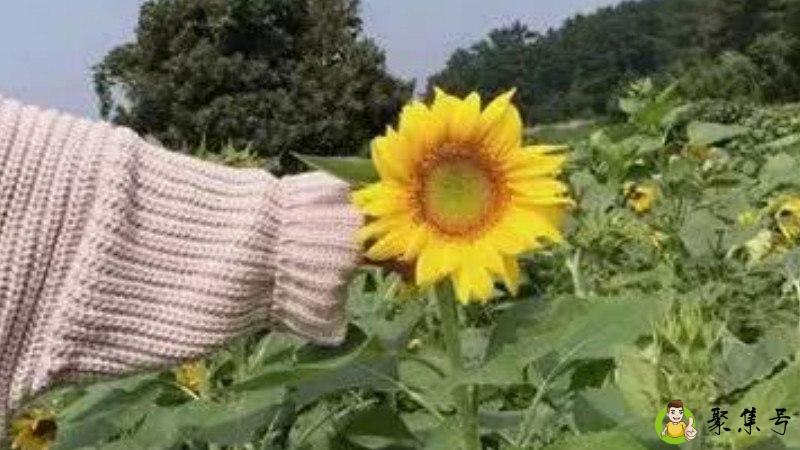 聊天好和好的区别