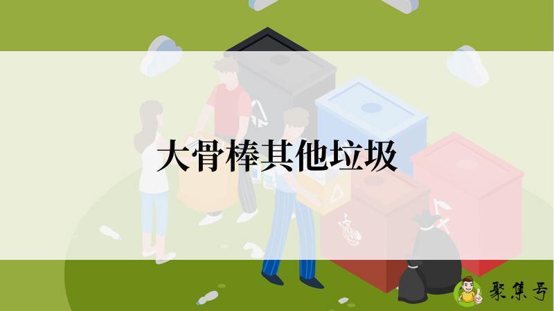大骨棒其他垃圾