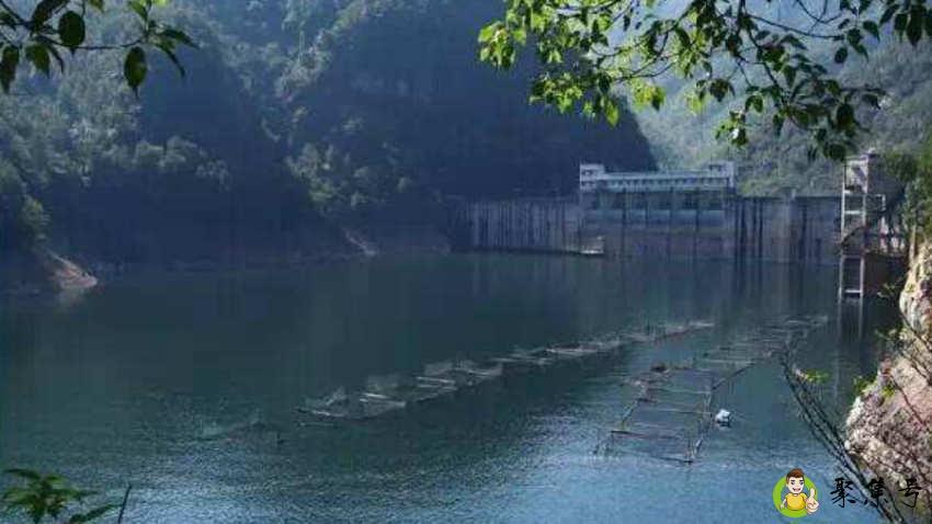 并秀的意思是什么