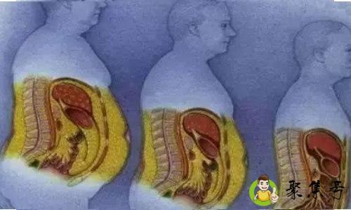 皮厚是脂肪多吗