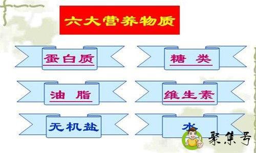 每种食物都含有六类营养物质吗