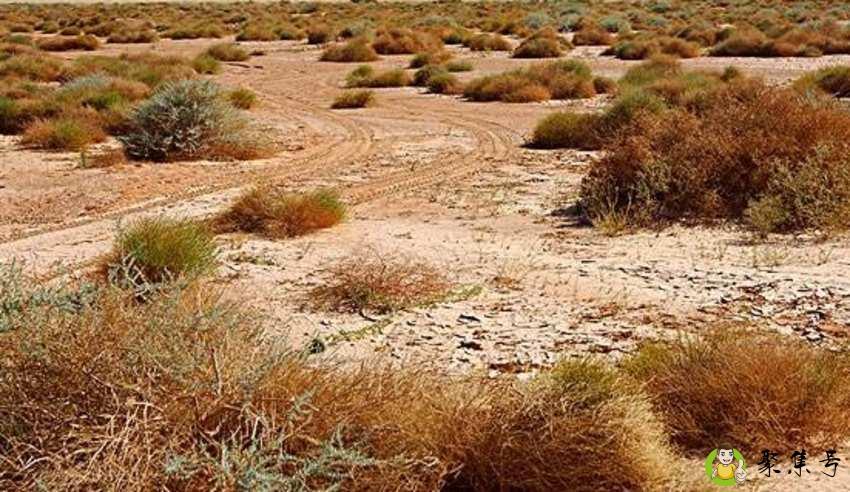 非洲开超市要多少本钱