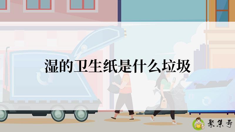 湿的卫生纸是什么垃圾