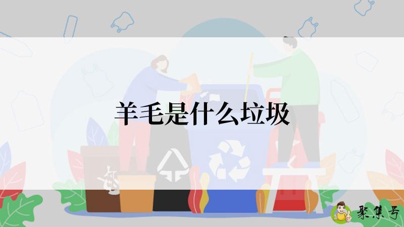 羊毛是什么垃圾