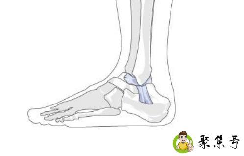 有脚踝和没脚踝的区别