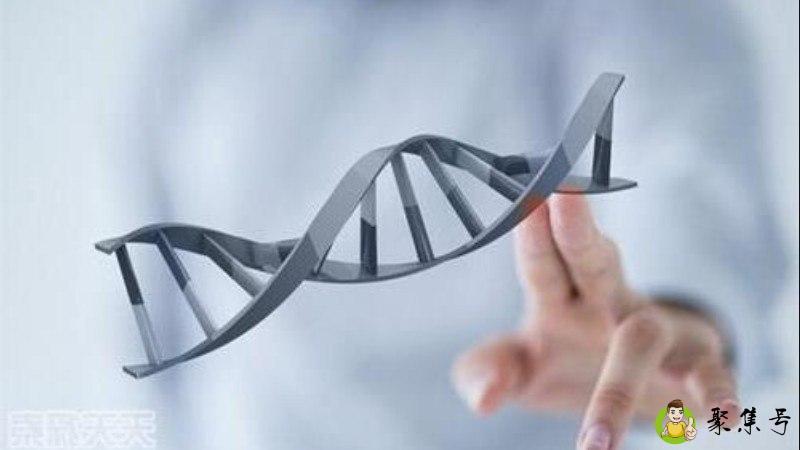 基因多态性检测是什么