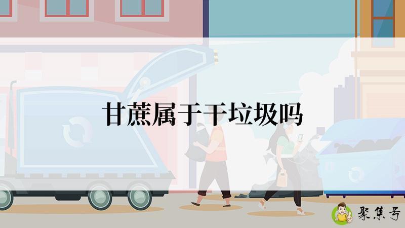 甘蔗属于干垃圾吗