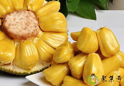 菠萝蜜哪里能吃